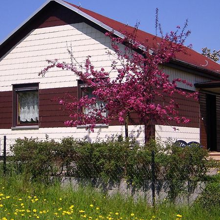 Waldblick Villa Waltershausen Exterior photo